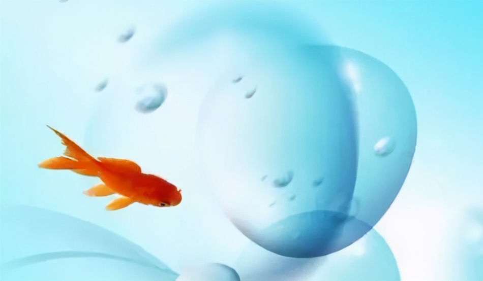 水源水质管理怎么做,城市供水水质管理规定