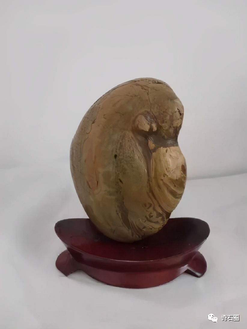 “一见倾心的石头”入围作品展播