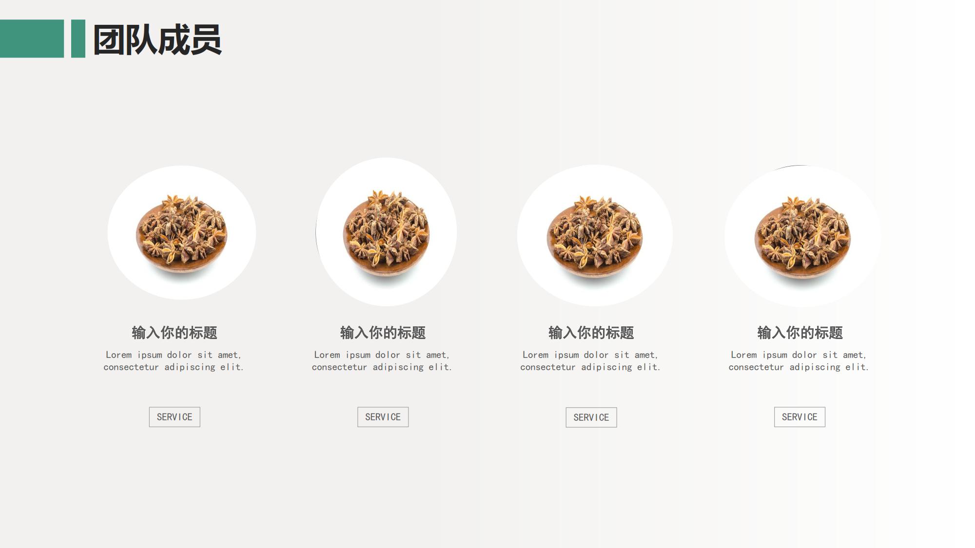 中医养生专业学习计划书,中医养生商业计划书模板