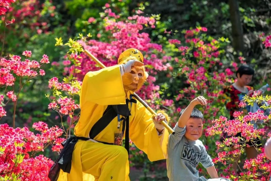 西泰山的特点是什么,西泰山为啥叫西泰山