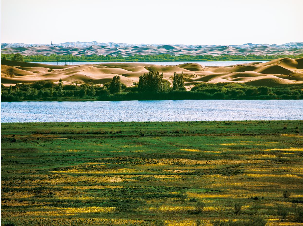 最大沙漠治理情况塔克拉玛干,假如中国的沙漠全部消失