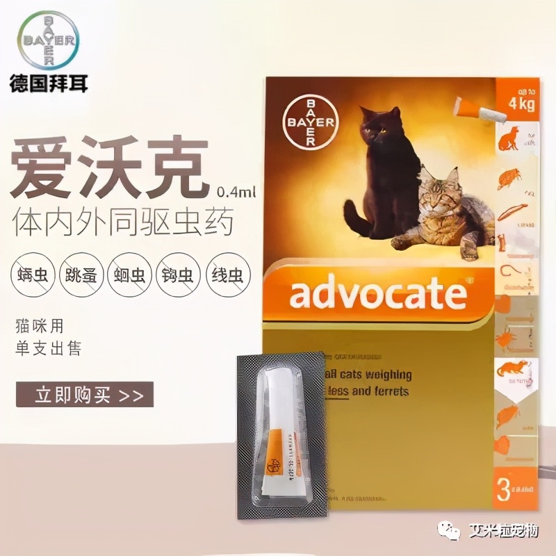 猫咪内驱虫的正确方法,狗狗驱虫和猫咪驱虫