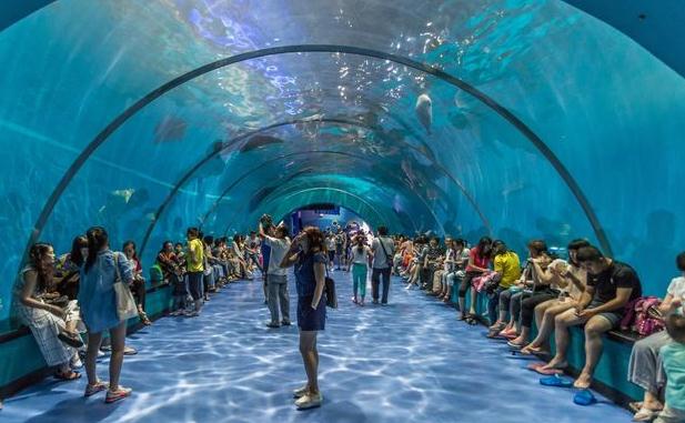 上海十大旅游景点排行榜前十名,上海十大旅游景点英文