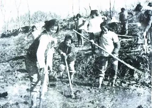 百家发布追寻奋斗百年路｜传承红色历史，高水平建设创新余杭品质之区文明圣地！