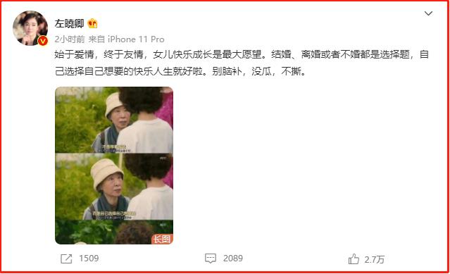 左小青演中国式离婚的电视剧,左小青和她背后的十个男人