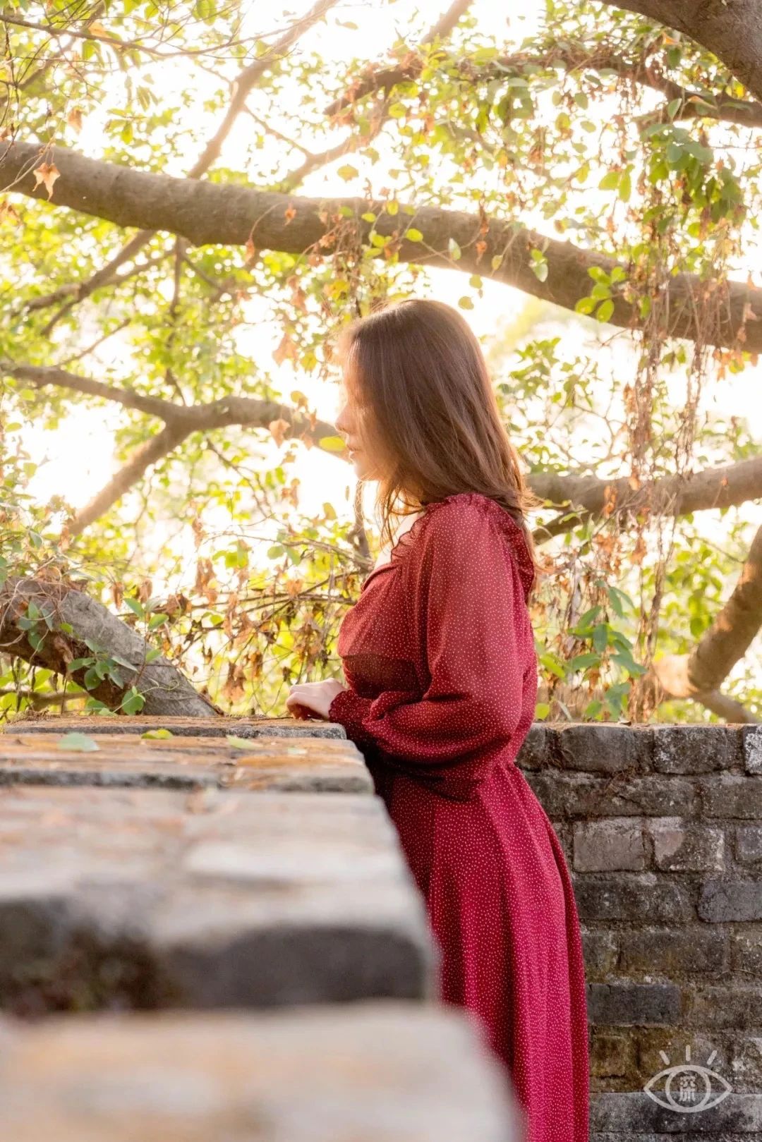 深圳各区最美的地方,深圳6个绝美地方