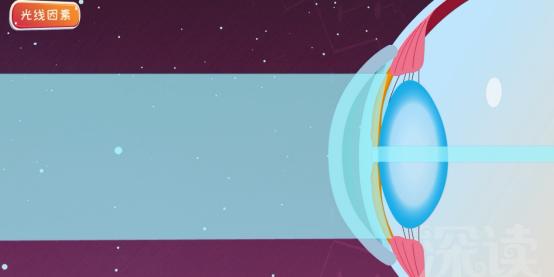 儿童保持近视度数的最好办法,儿童近视越小越好治吗