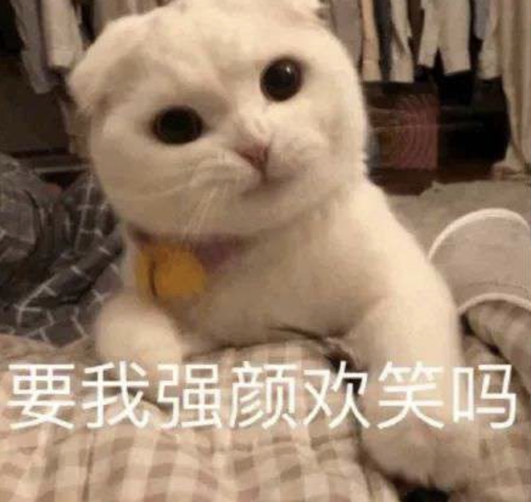 酷派跑车10款,酷派品牌发展史