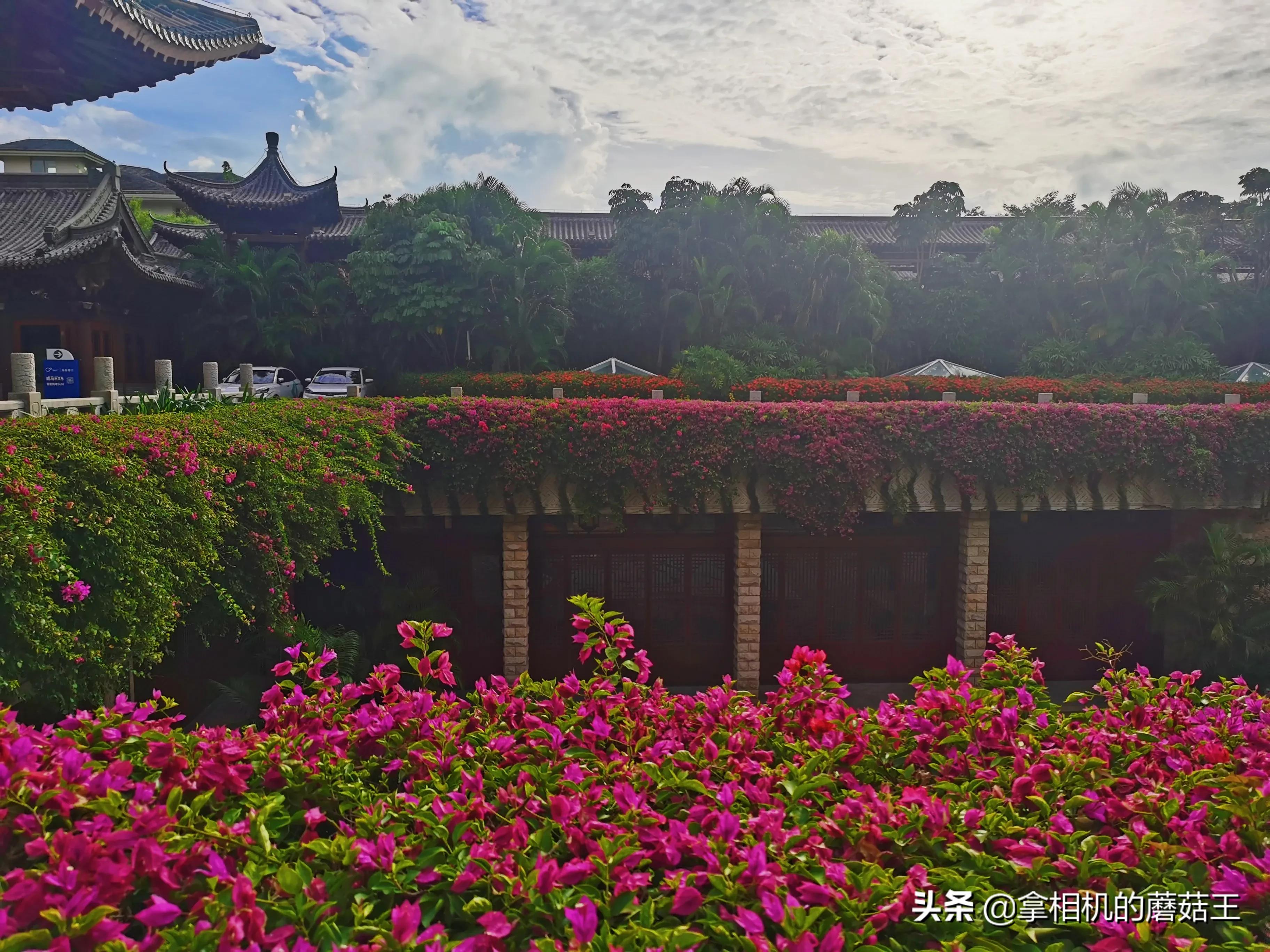 亚龙湾四星酒店价格表,亚龙湾套餐哪个合适