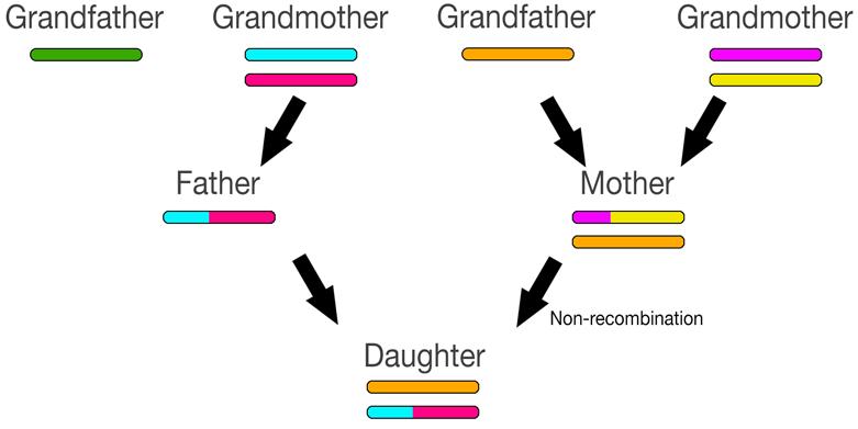 英国足球奇葩故事,足球历史奇葩事件