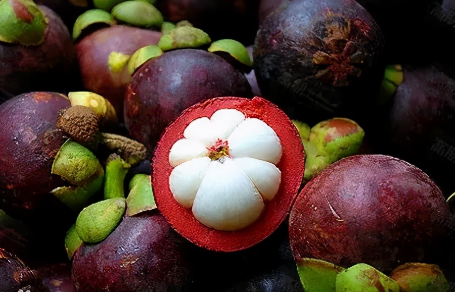 今日小满，遇见初夏！这个季节海南有哪些水果可以吃到爽？