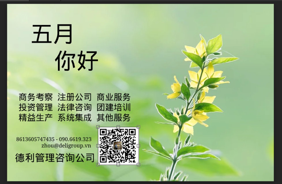 越南支付清算体系,越南第三方支付平台联系方式