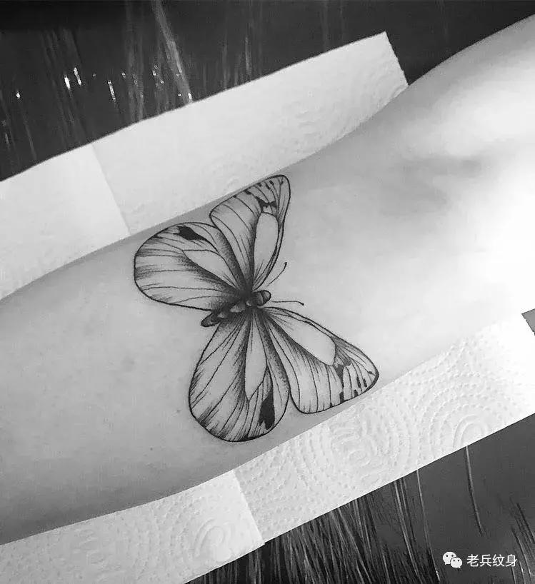 蝴蝶纹身图案,纹身素材蝴蝶后背