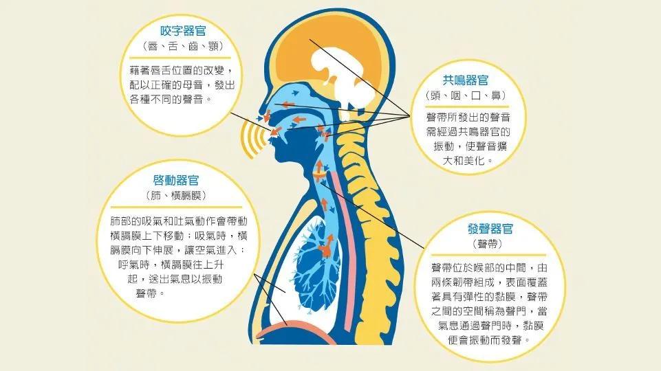 合唱教学发声练习曲,中老年合唱发声技巧