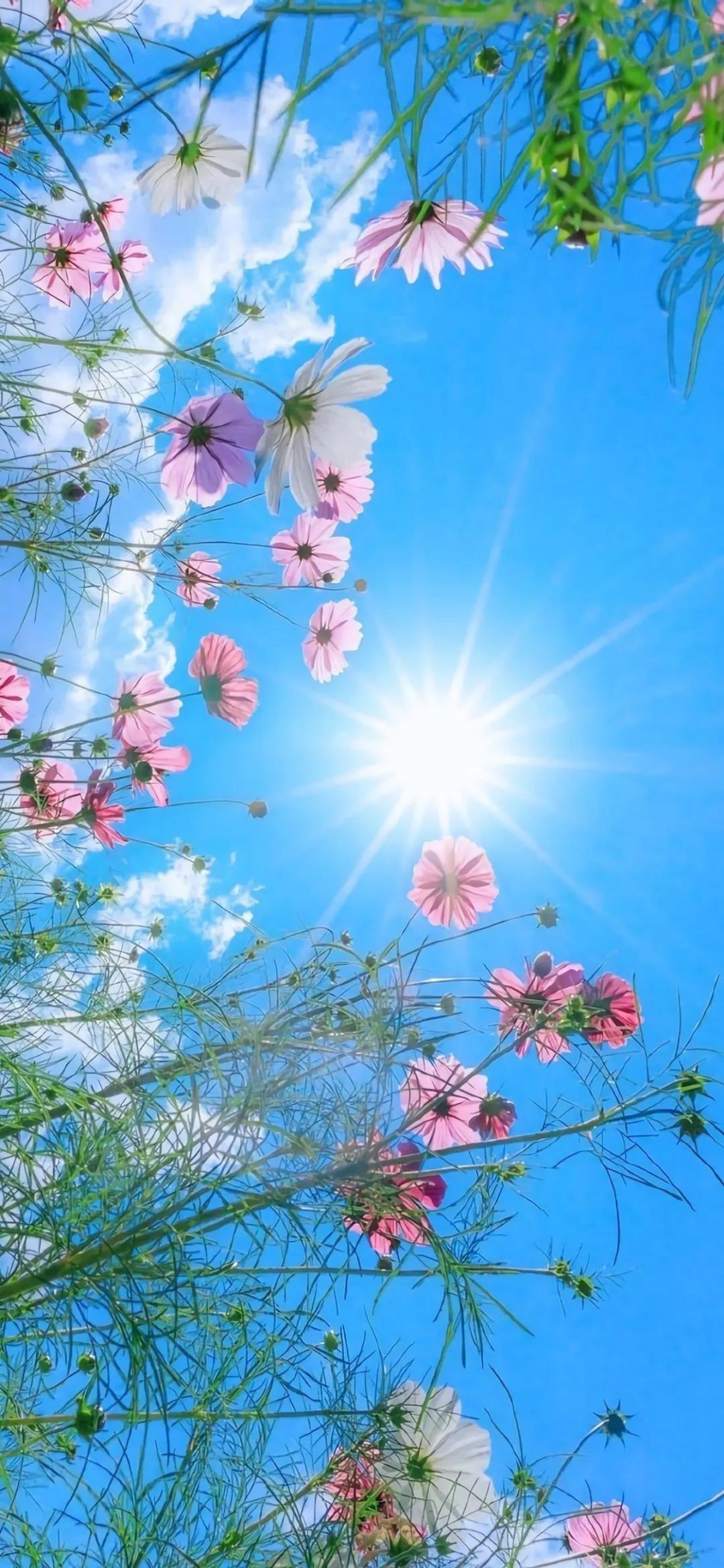 手机壁纸精选好看的养眼壁纸大图,平板壁纸9.7寸高清壁纸简约唯美