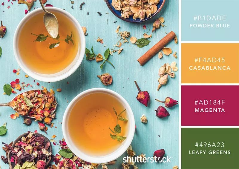 色彩搭配个人形象设计,色彩搭配都是业主亲自选择