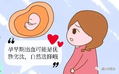 孕早期出血伴有血凝块,孕早期出血一定会流产吗