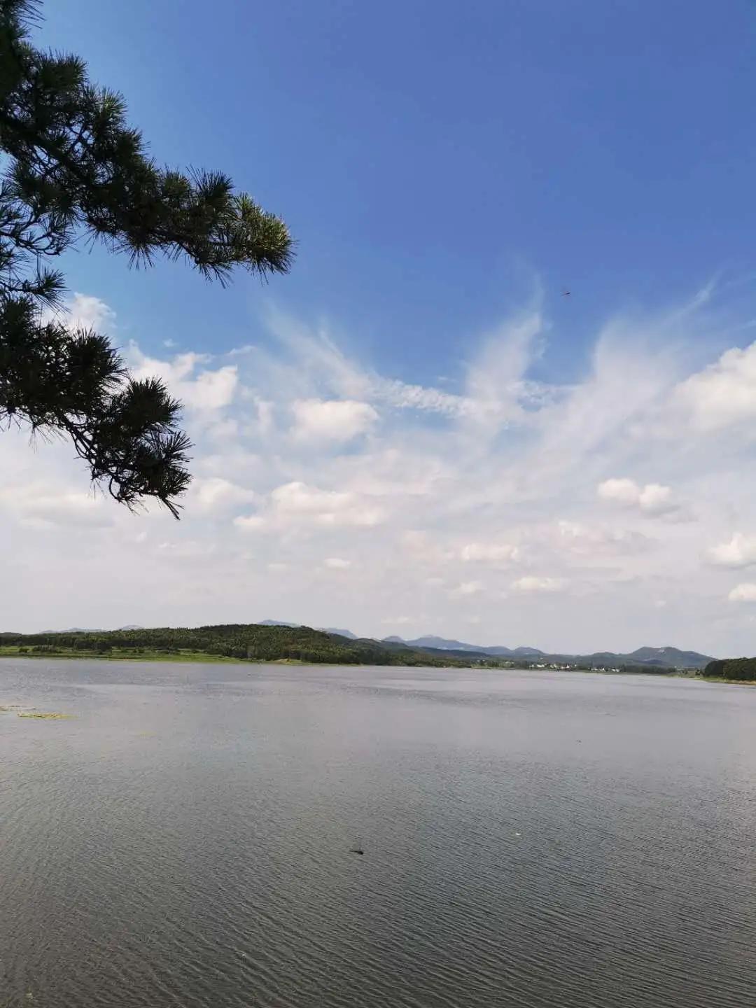 艾滋病小科普,艾滋病小故事