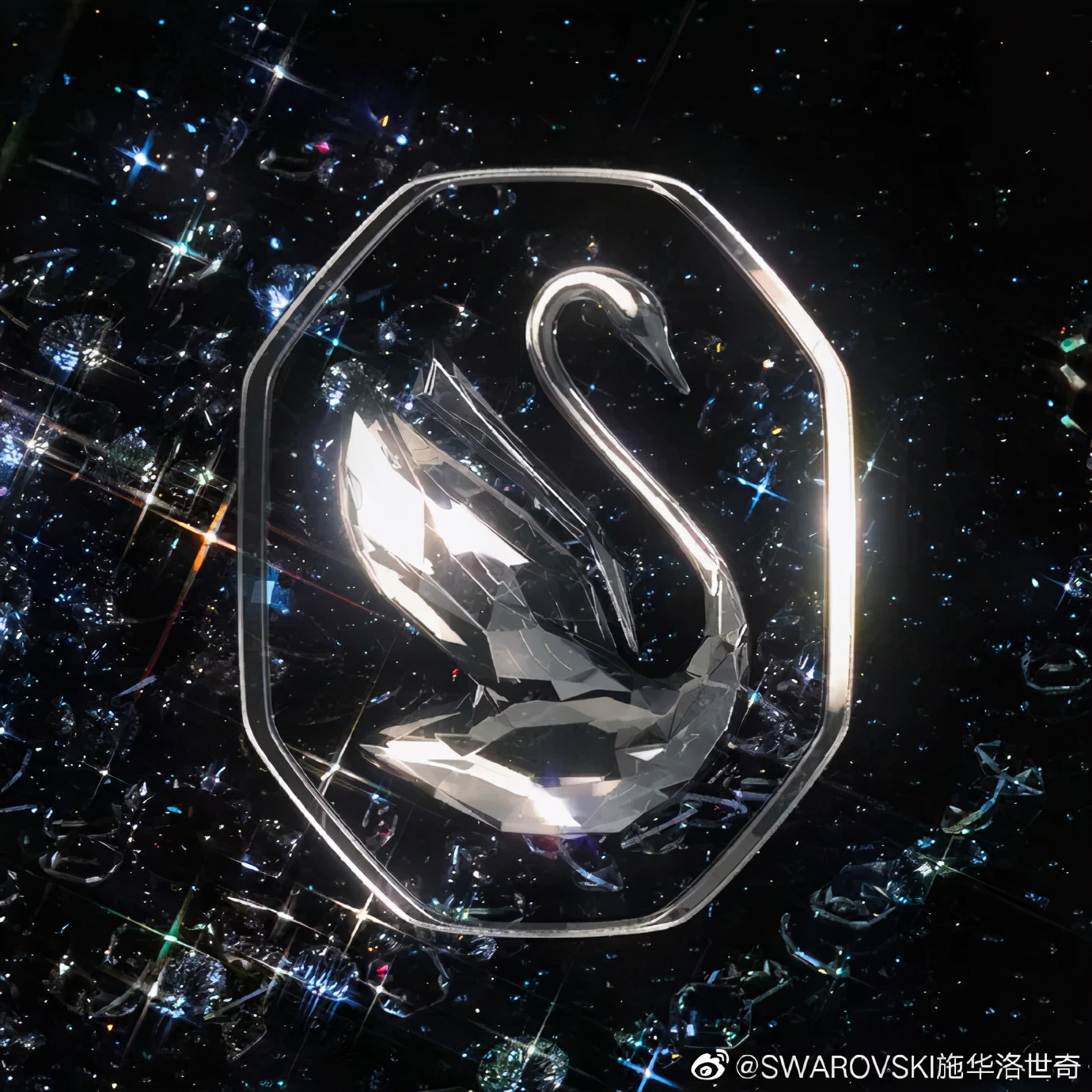 鏂藉崕娲涗笘濂囨爣蹇條ogo (鏂藉崕娲涗笘濂囩殑鏍囧織logo)