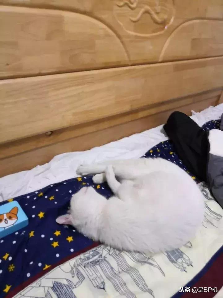 2018无法超越的境地,微信消息无法撤回