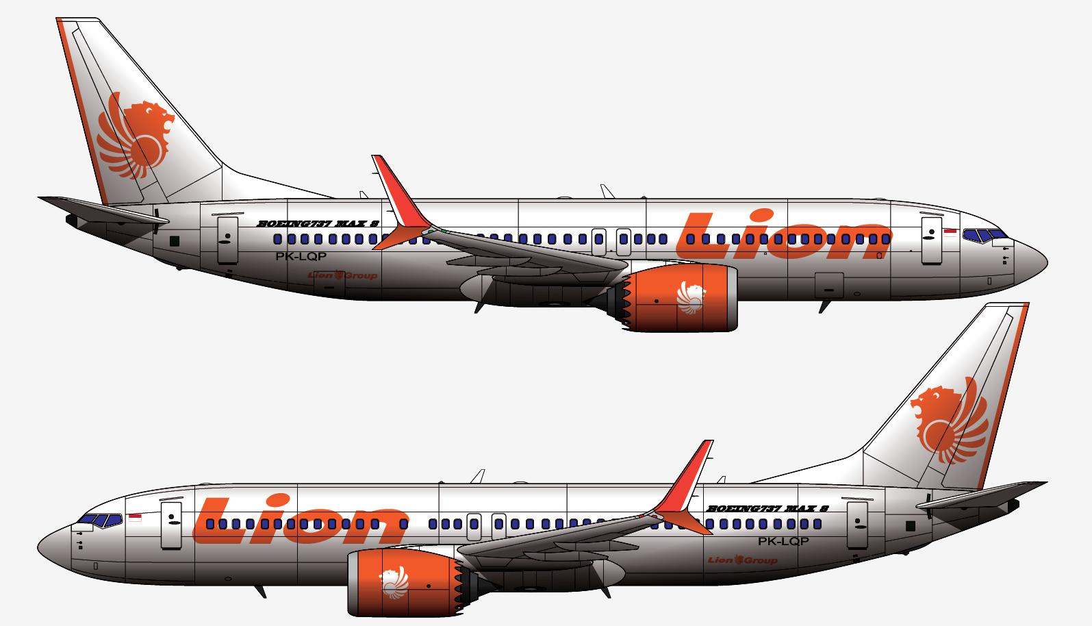 737max8狮子,737max8客机视频