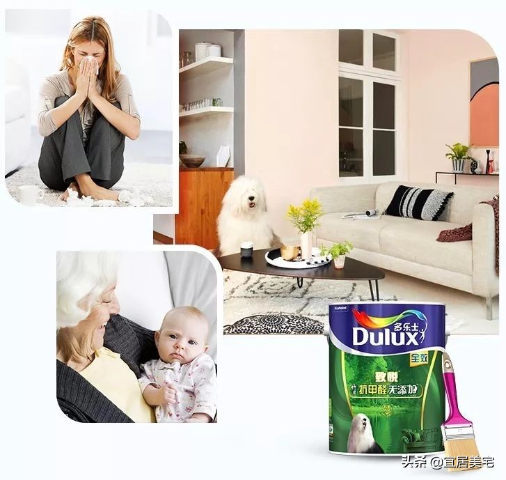 乳胶漆和艺术涂料装修时用哪个好,家装乳胶漆推荐性价比高