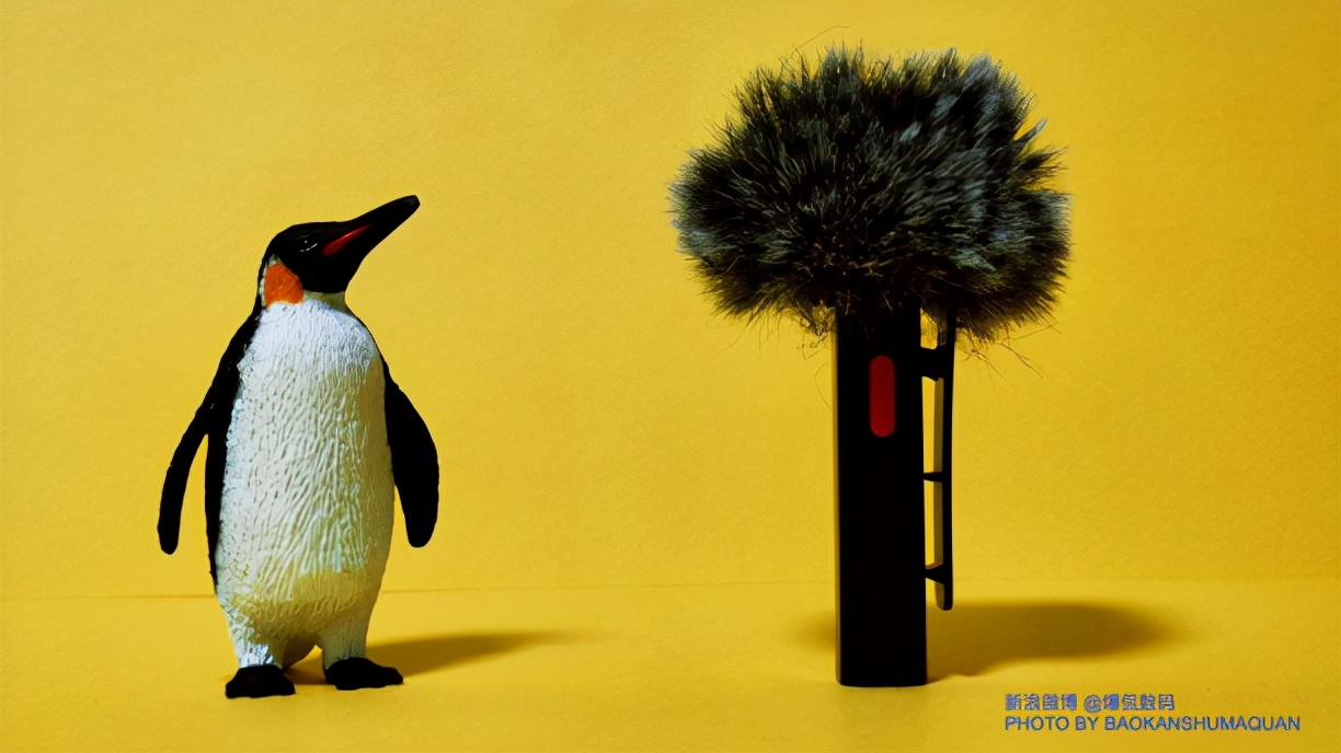 塞宾silver无线领夹式麦克风,塞宾silver不用app可以录制吗