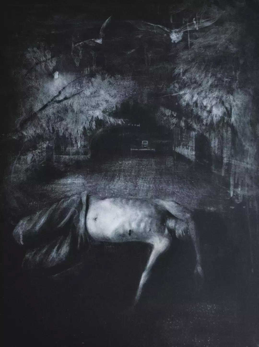 2019毕业季获奖作品,毕业季大奖