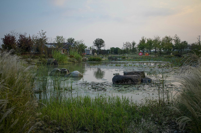 春有百花秋有月景点在哪,九龙湾花彩小镇醉美公园