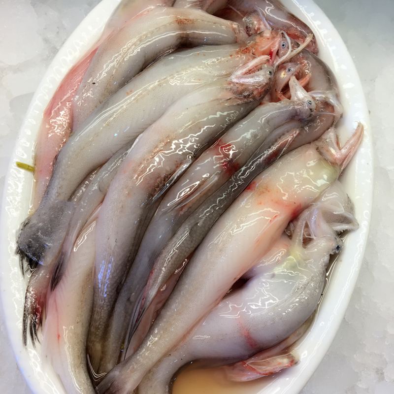 东海海鲜美食大全,家乡特色海鲜美食