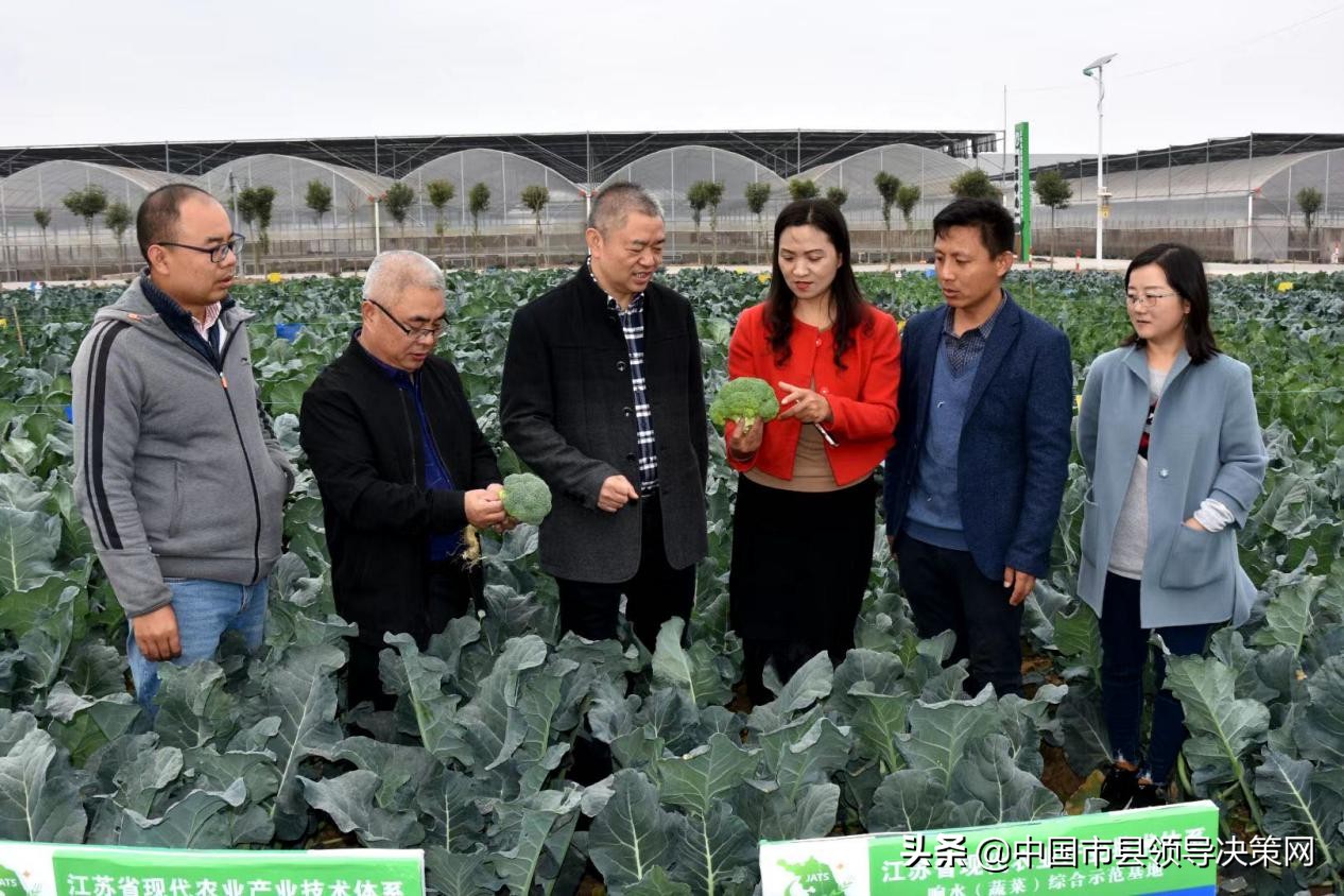 长三角(响水)西兰花产业研究院签约揭牌仪式在响水县举行