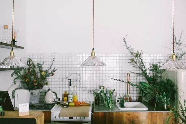 北京最美花店,她放弃了总监职位后续