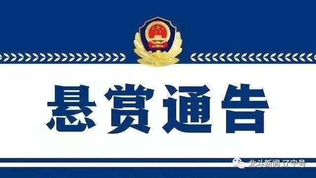 辽宁涉黑案线索征集,沈阳涉黑通缉令