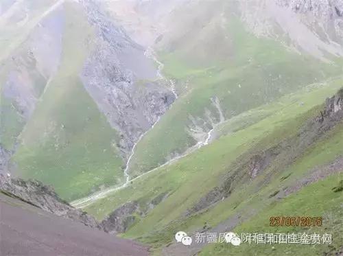 玛纳斯探奇之旅,新疆探秘伊犁