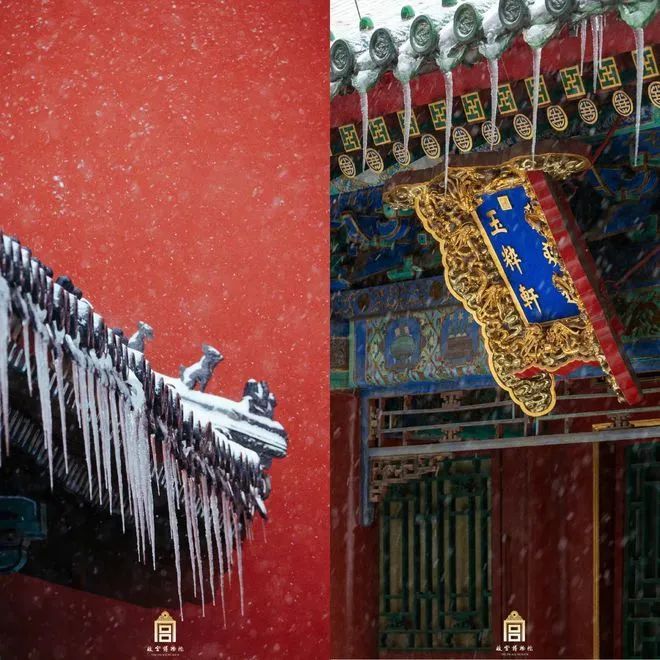 故宫雪景视频步步惊心,故宫初雪步步惊心
