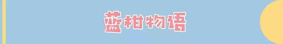 软萌暴击!邯郸这家高颜值猫咖上线,“吸猫”终于提上日程!