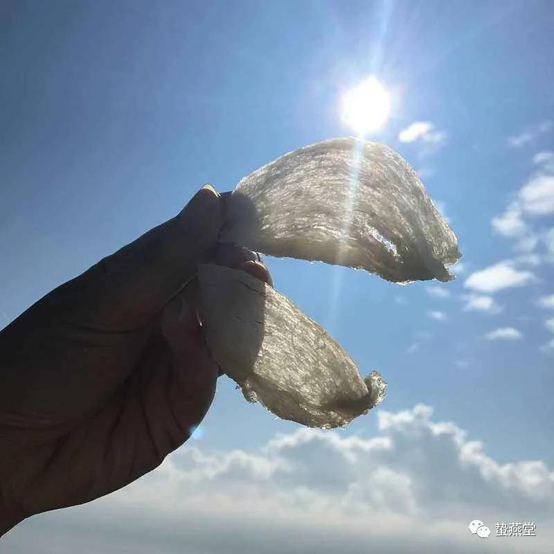 马云神预言比互联网还暴利的行业,马云说互联网是最赚钱的行业