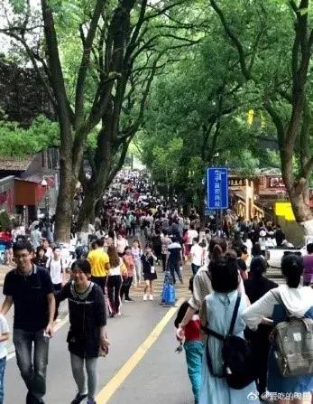 夜间拍照怎么拍出最美的照片,教你简单姿势拍出最美照片