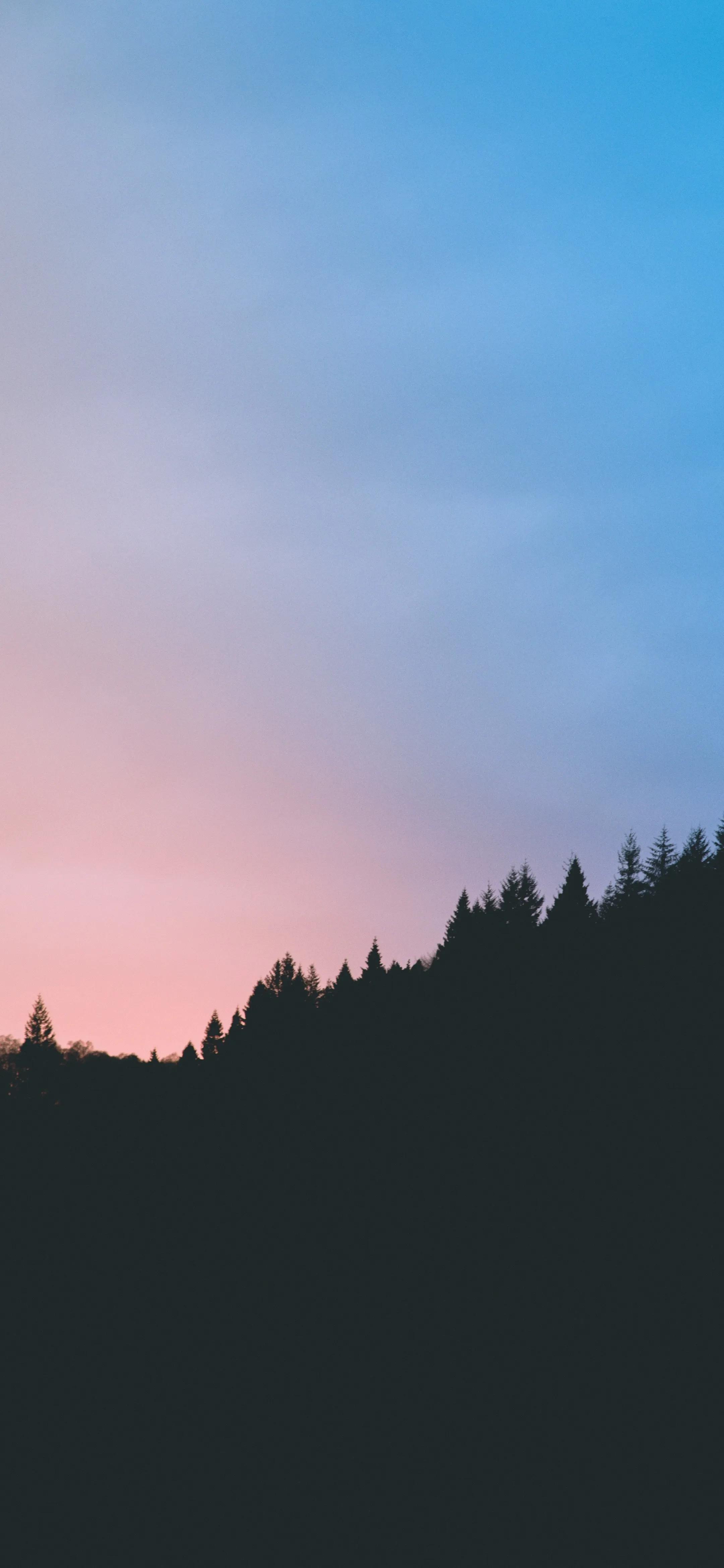 “千挑万选”手机高清壁纸