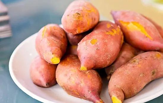 二十四节气之处暑健康养生小常识,处暑节气养生小技巧有哪些