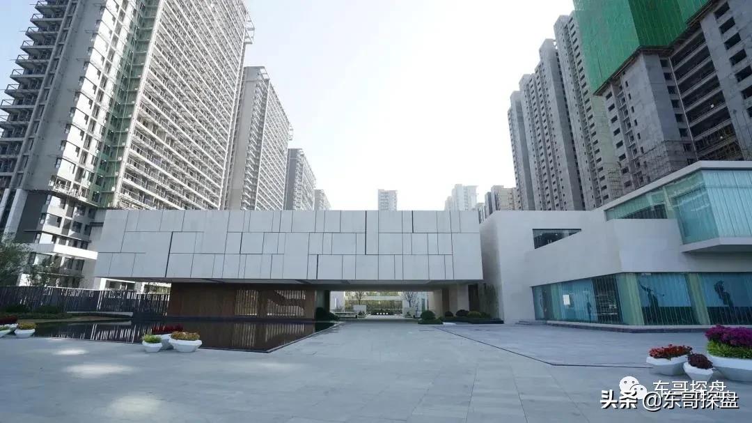 万万没想到，他捅了郑州刚需盘的“窗户纸”