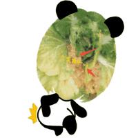 白菜种叶发黄的治疗方法,白菜枯死怎么治