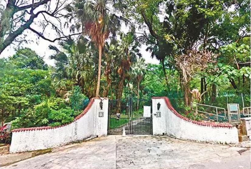 喜宝被老头打后续,喜宝喜欢石澳岛吗