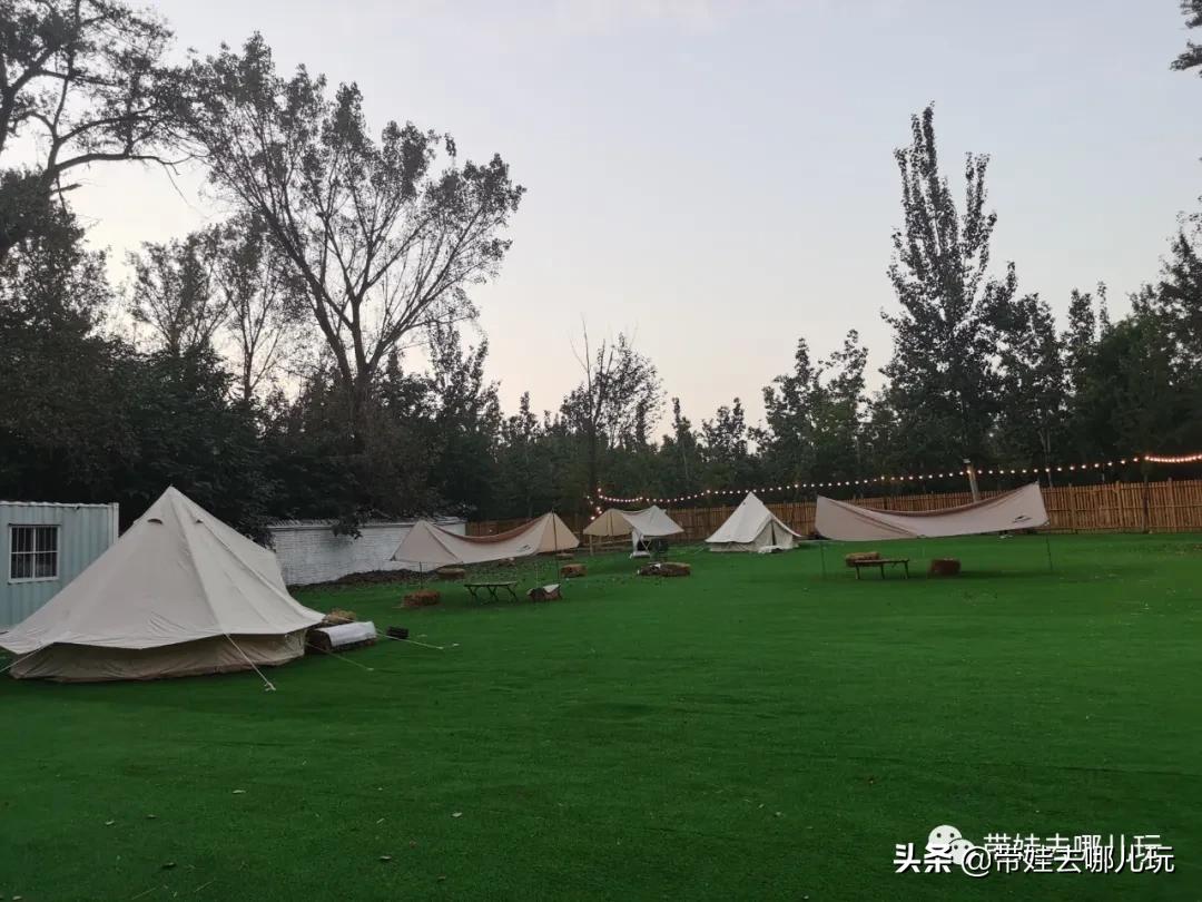 北京五环内新开萌宠乐园，除了喂动物，还能玩大滑梯、免费享帐篷