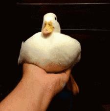 寻甸网红打卡地点,寻甸金所潘所网红打卡的地方