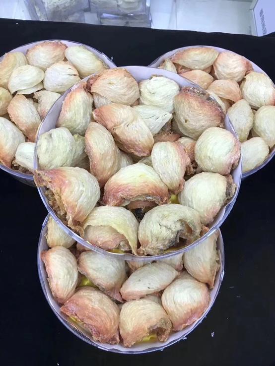 你一定要知道的燕窝小知识,燕窝知识百答之基础篇