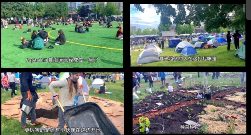 美国华人珠宝店遭洗劫,华人珠宝店被洗劫