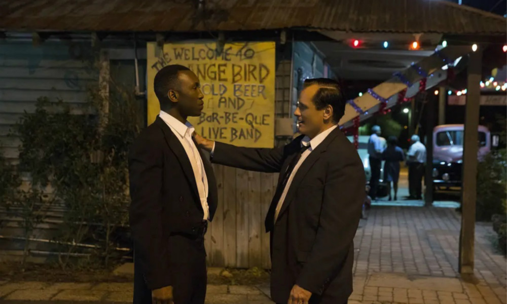 丹麦美女变性成雀斑,丹麦女孩的小雀斑