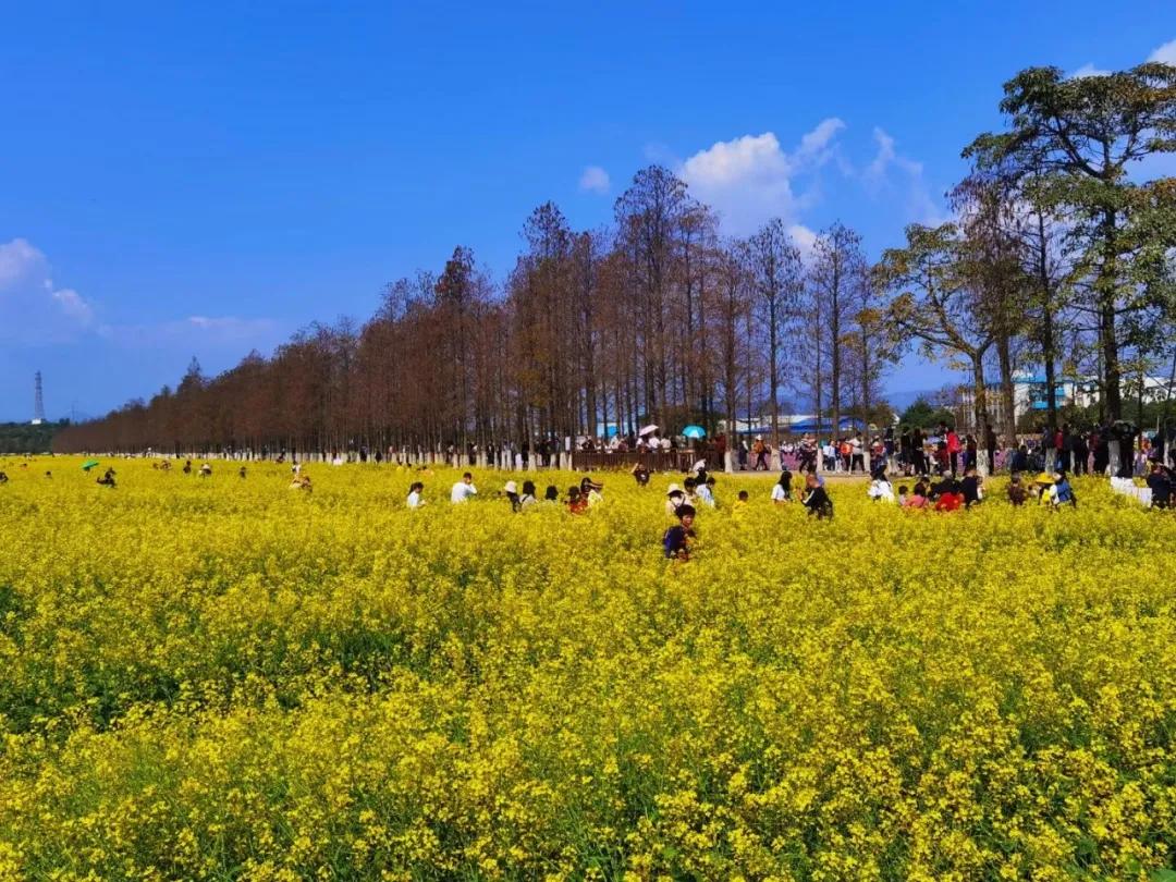 你好,我叫珠海,请收下我2021版新名片,带你了解新的珠海!